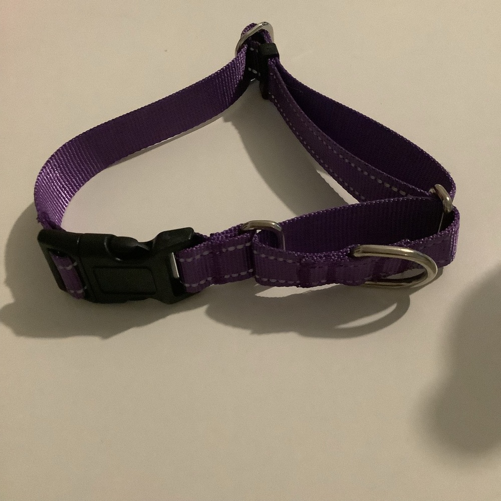 Dog collar - Picture 2 of 5